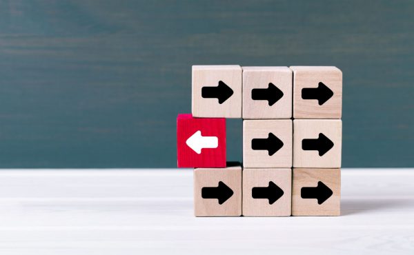 Why back translation is inadequate to assess quality in translated surveys