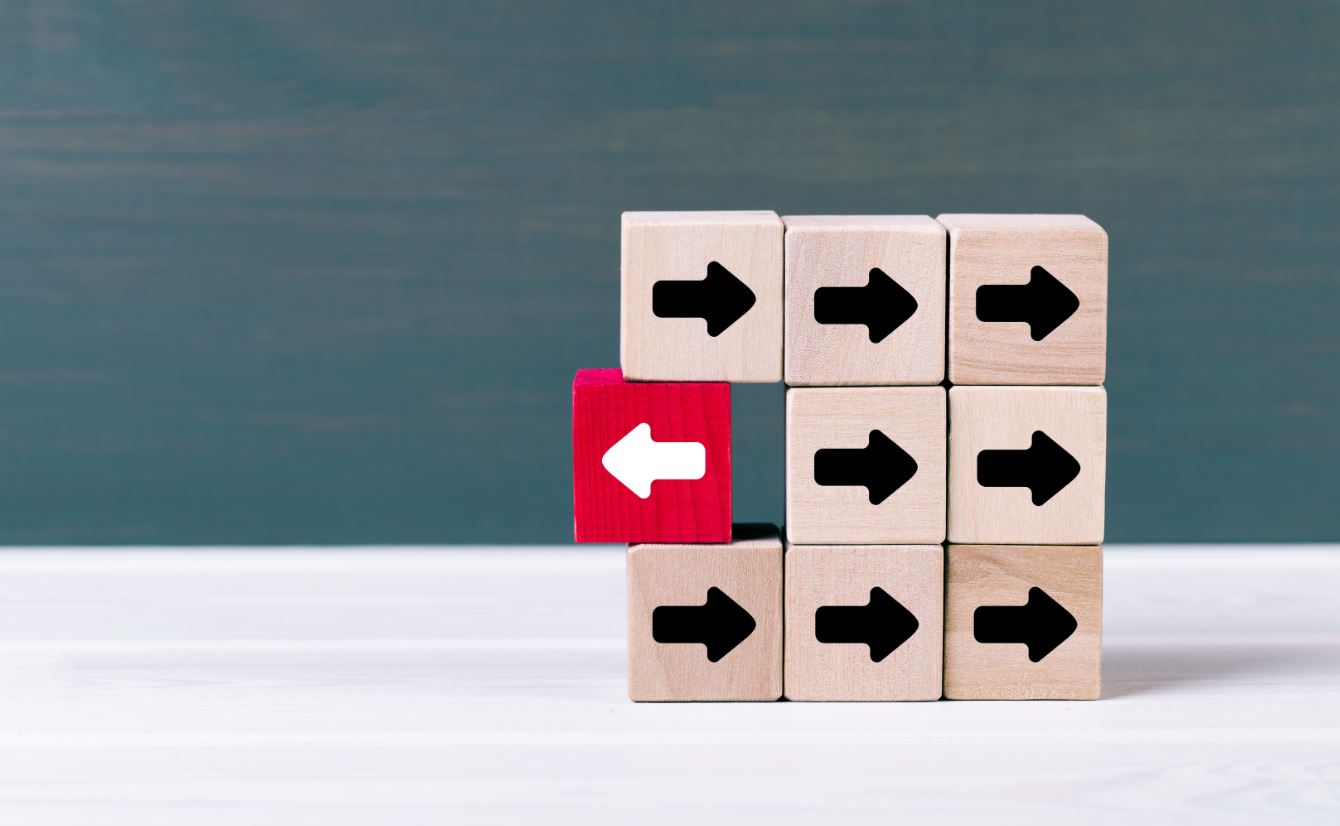 Why back translation is inadequate to assess quality in a translated survey