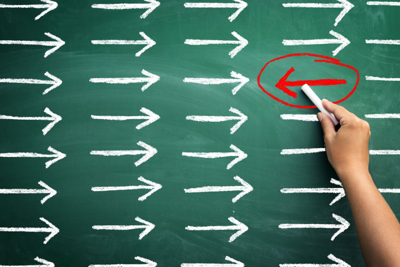 Why back translation is inadequate to assess quality in a translated test