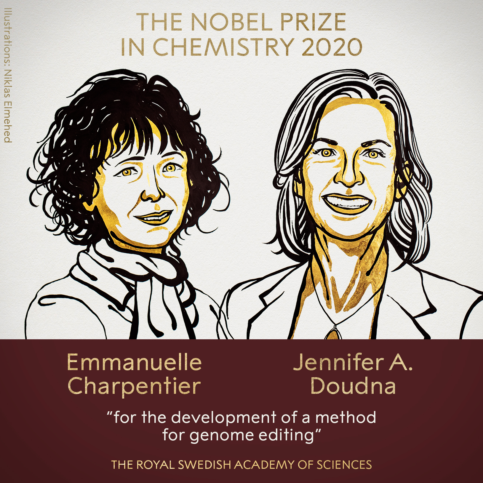 Can Nobel Prizes and other scientific awards further women’s progress in STEM fields?