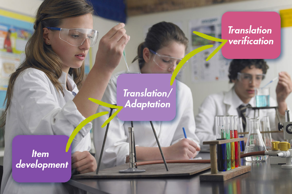 The translation and adaptation journey of a TIMMS grade 8 science item