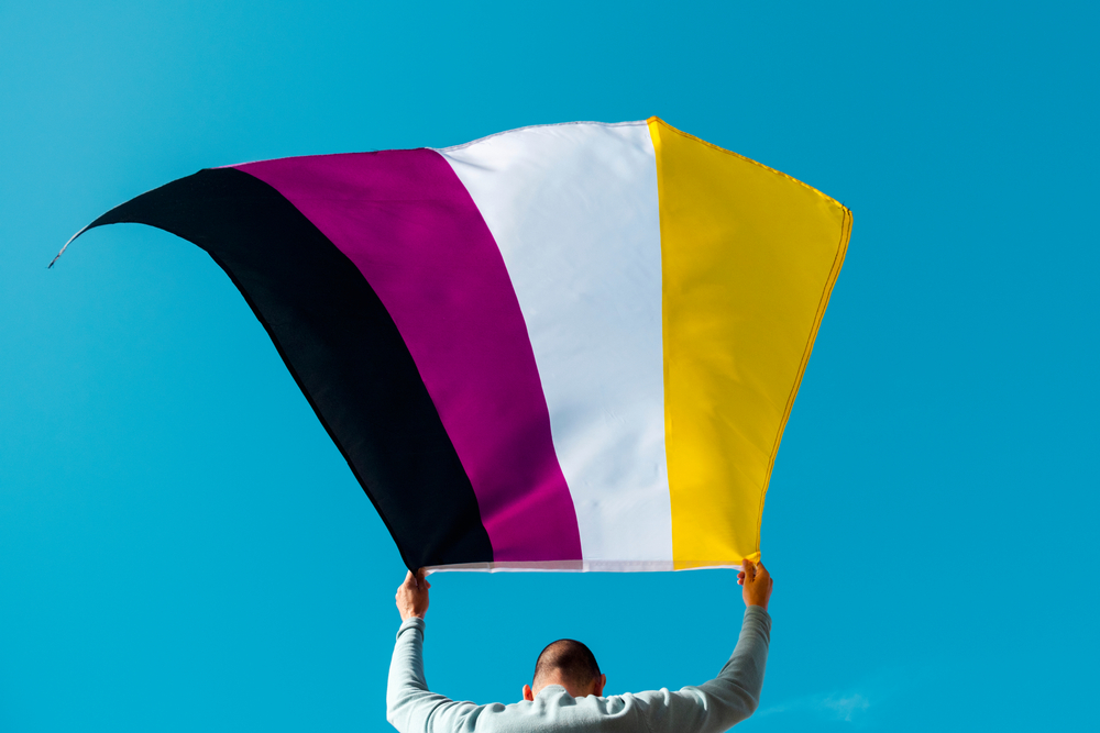 Survey data about non-binary people: a critical tool to inform discussions about policy, resource allocations, and other issues that affect them