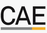 Council for Aid to Education