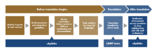 Translation validation of adult literacy survey