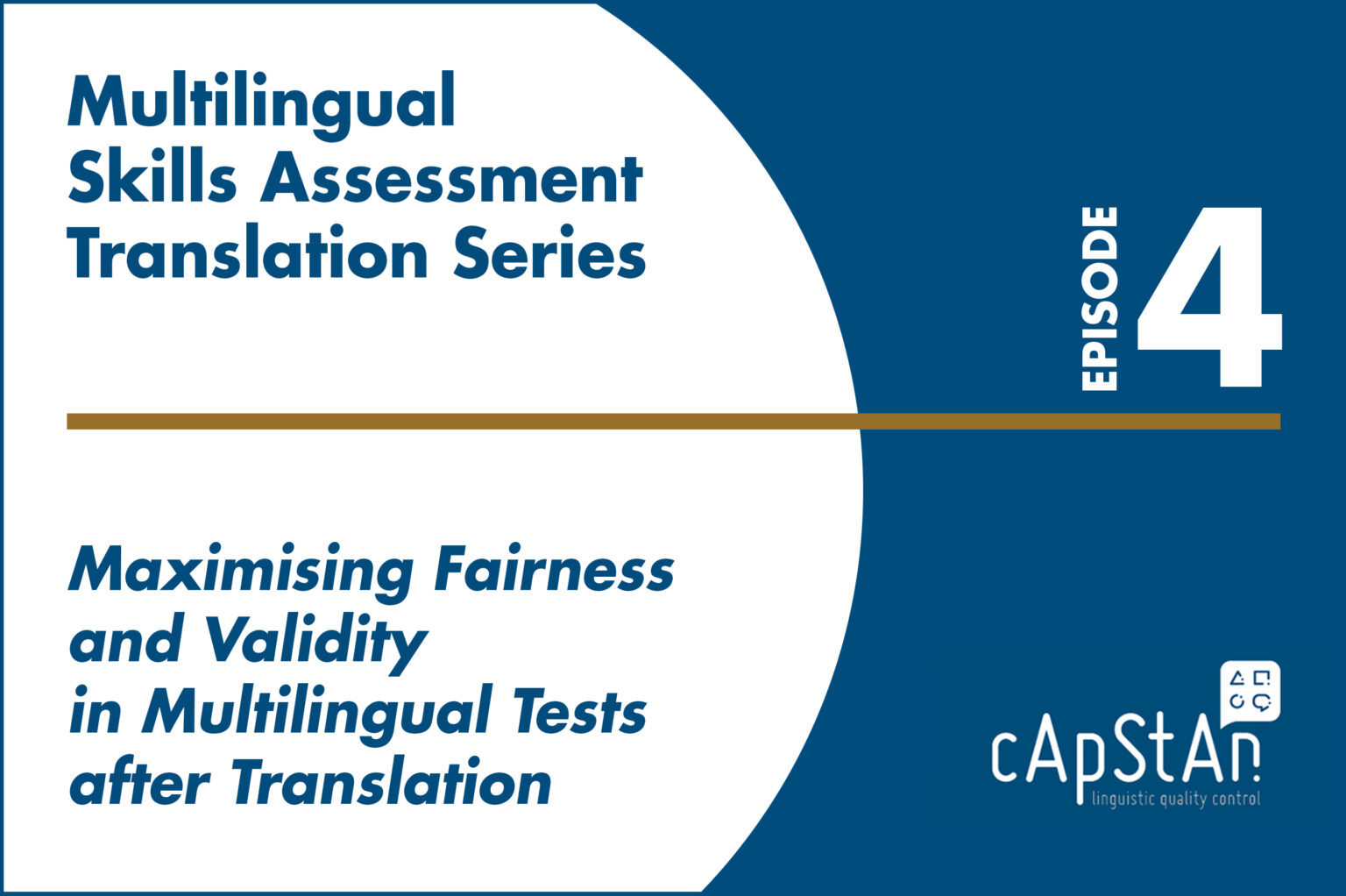 Multilingual Skills Assessment Translation series, part 4 Maximising